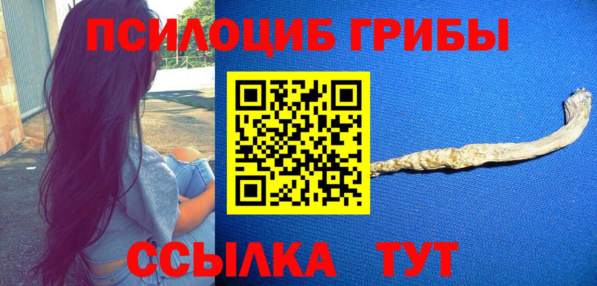 Старая Купавна  Псилоцибиновые грибы Magic Shrooms  Псилоцибиновые грибы Psilocybe  Вход с VPN 